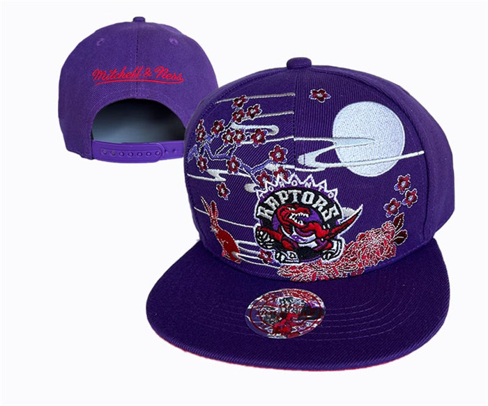 Toronto Raptors Stitched Snapback Hats 0021